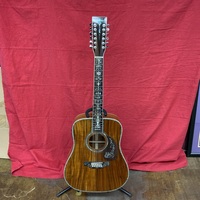 Unbranded Electric/Acoustic 12 string 